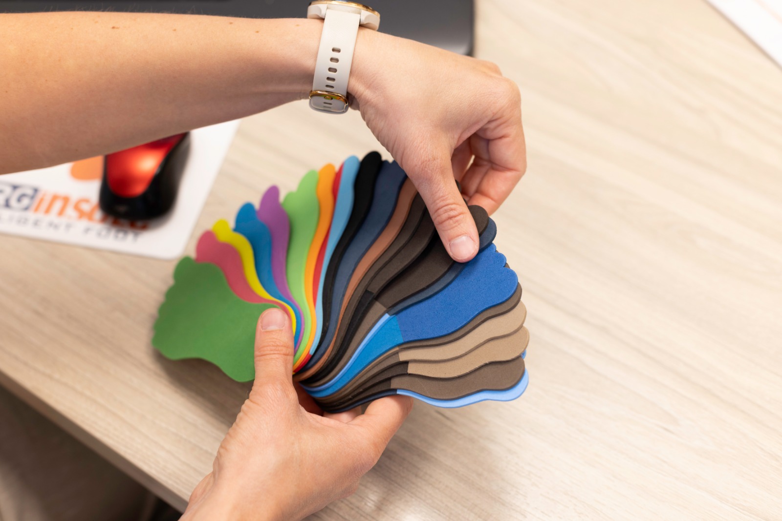 Borginsole inlegzolen